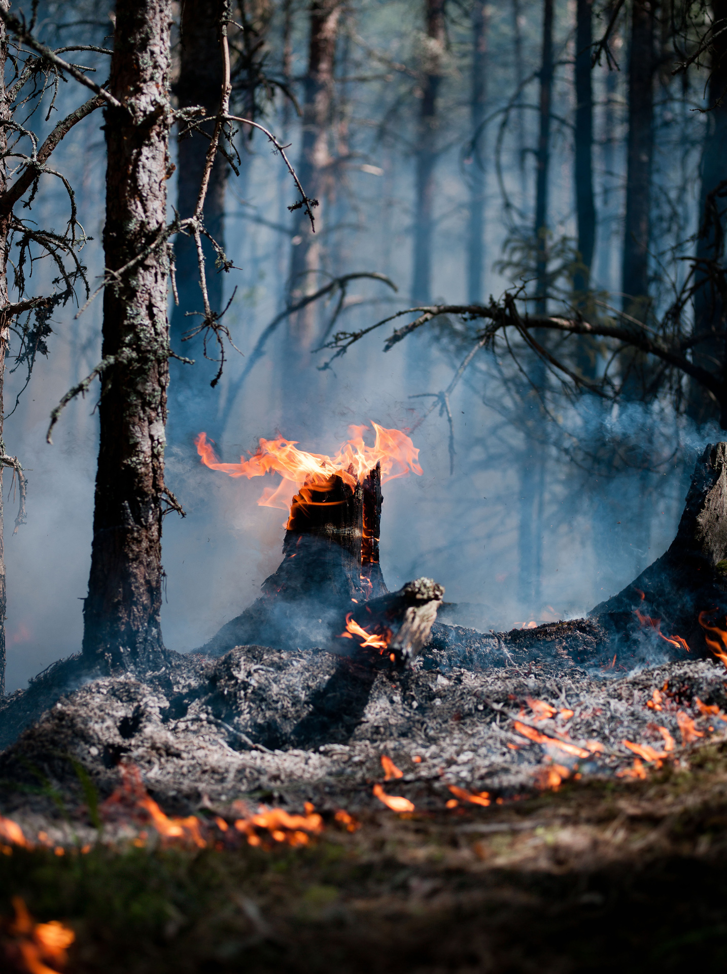 Firewatch_CF019349-kopia_MatsPeterson250812656.webp